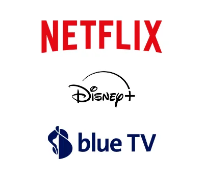 Advantage Card Netflix/blue DE